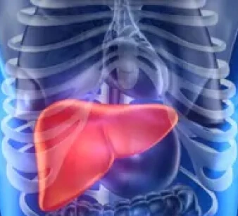 Choroby wątroby - objawy, rodzaje
                        i leczenie