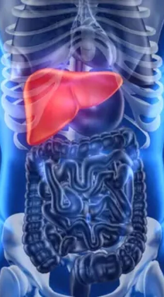 Choroby wątroby - objawy, rodzaje
                      i leczenie